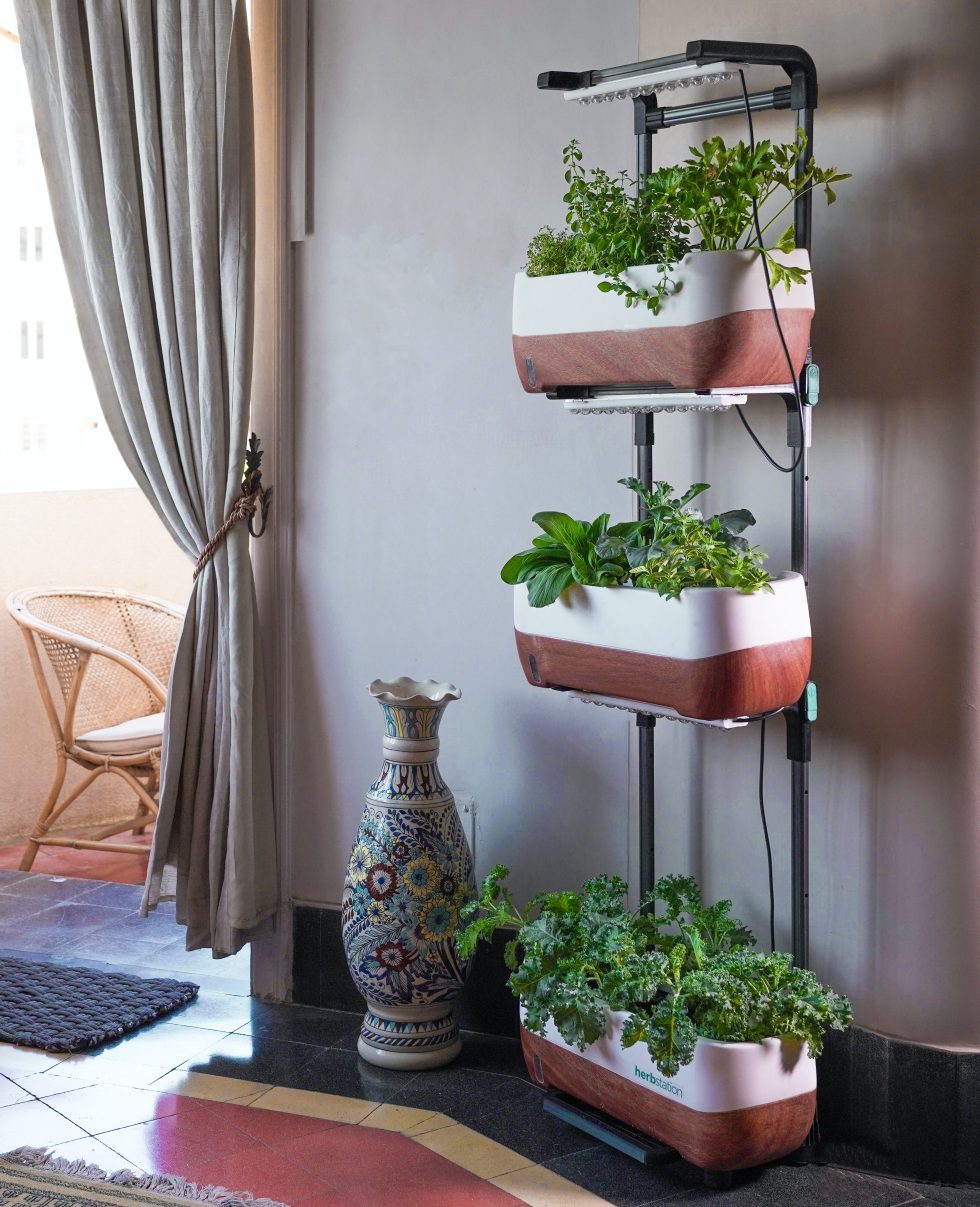 Indoor Gardening During the Winter Season